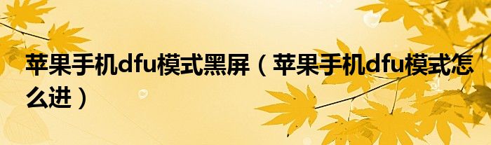 苹果手机dfu模式黑屏（苹果手机dfu模式怎么进）
