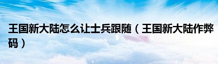 王国新大陆怎么让士兵跟随（王国新大陆作弊码）