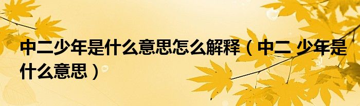中二少年是什么意思怎么解释（中二 少年是什么意思）