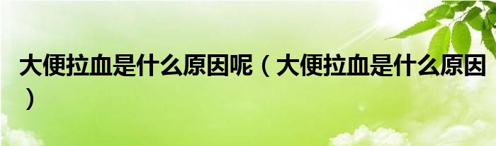 大便拉血是什么原因呢（大便拉血是什么原因）