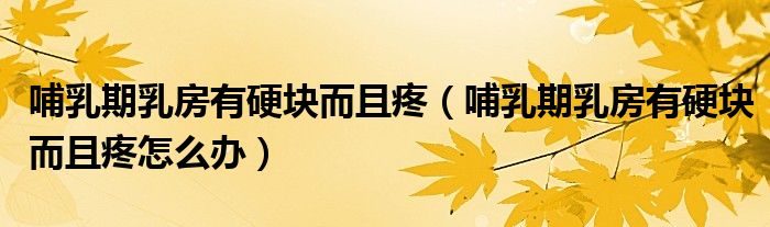 哺乳期乳房有硬块而且疼(哺乳期乳房有硬块而且疼怎么办)