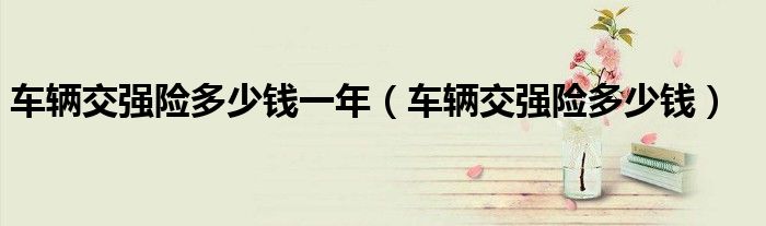 车辆交强险多少钱一年（车辆交强险多少钱）