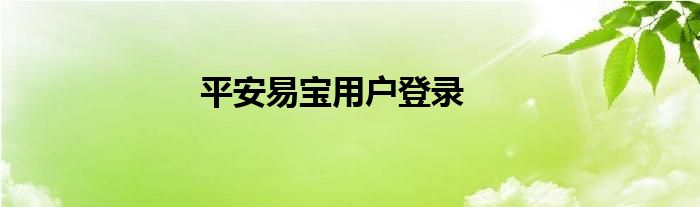 平安易宝用户登录
