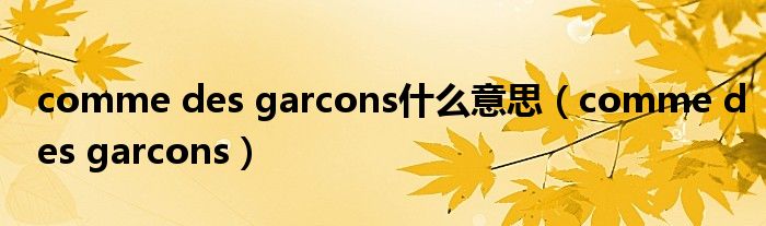 comme des garcons什么意思（comme des garcons）