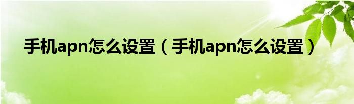 手机apn怎么设置（手机apn怎么设置）