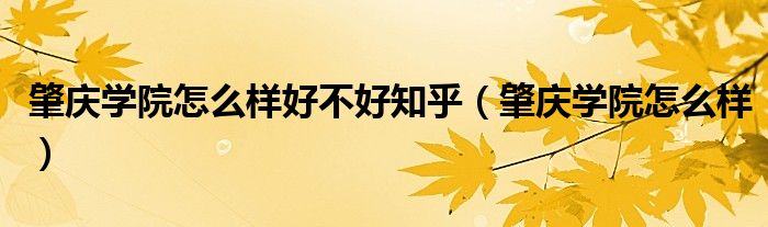 肇庆学院怎么样好不好知乎（肇庆学院怎么样）