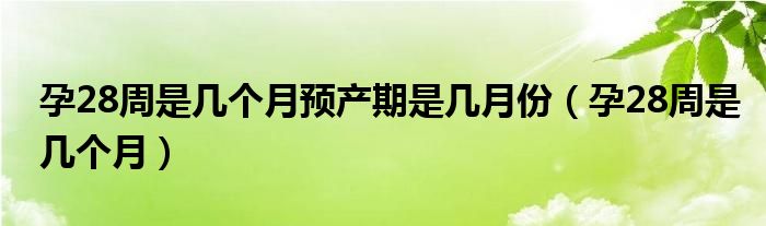 孕28周是几个月预产期是几月份（孕28周是几个月）