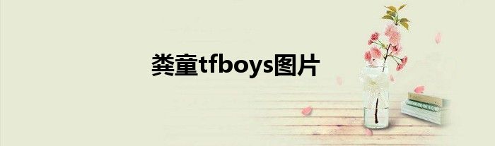 粪童tfboys图片