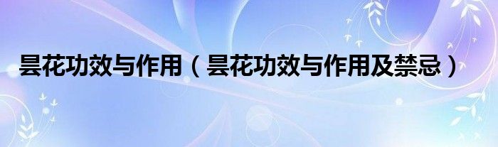 昙花功效与作用（昙花功效与作用及禁忌）