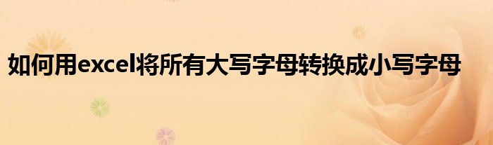 如何用excel将所有大写字母转换成小写字母