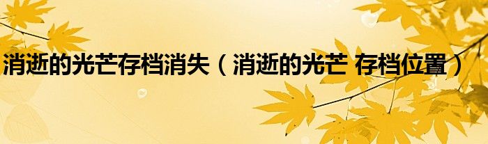 消逝的光芒存档消失（消逝的光芒 存档位置）