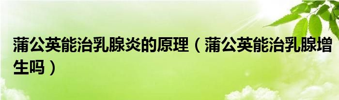 蒲公英能治乳腺炎的原理（蒲公英能治乳腺增生吗）