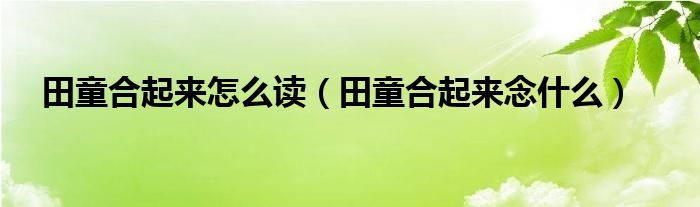 田童合起来怎么读（田童合起来念什么）