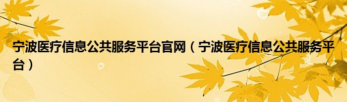 宁波医疗信息公共服务平台官网（宁波医疗信息公共服务平台）