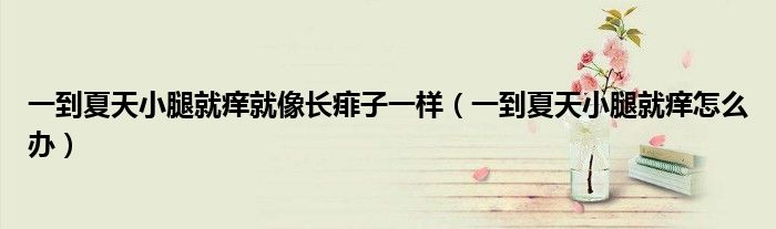 一到夏天小腿就痒就像长痱子一样(一到夏天小腿就痒怎么办)