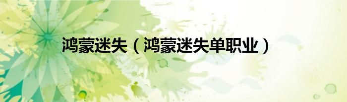 鸿蒙迷失（鸿蒙迷失单职业）