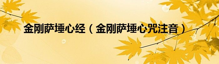 金刚萨埵心经（金刚萨埵心咒注音）