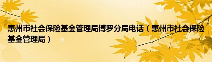 惠州市社会保险基金管理局博罗分局电话（惠州市社会保险基金管理局）