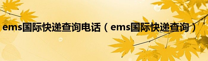 ems国际快递查询电话（ems国际快递查询）