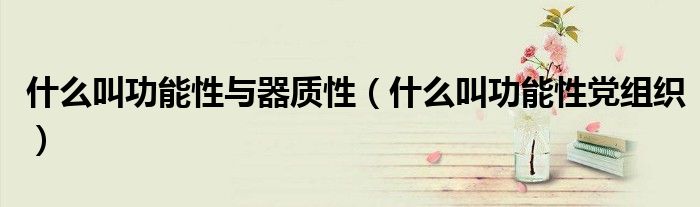 什么叫功能性与器质性（什么叫功能性党组织）