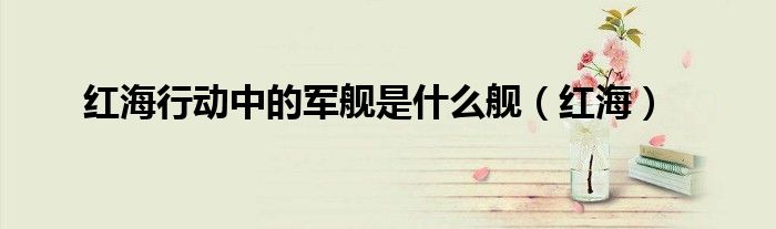 红海行动中的军舰是什么舰（红海）