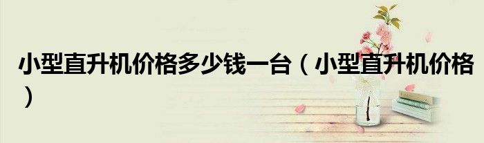 小型直升机价格多少钱一台（小型直升机价格）