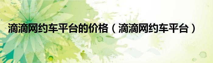 滴滴网约车平台的价格（滴滴网约车平台）