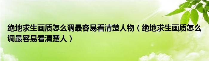 绝地求生画质怎么调最容易看清楚人物（绝地求生画质怎么调最容易看清楚人）
