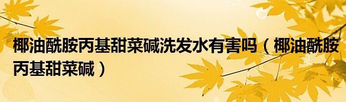 椰油酰胺丙基甜菜碱洗发水有害吗（椰油酰胺丙基甜菜碱）