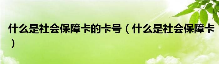什么是社会保障卡的卡号（什么是社会保障卡）