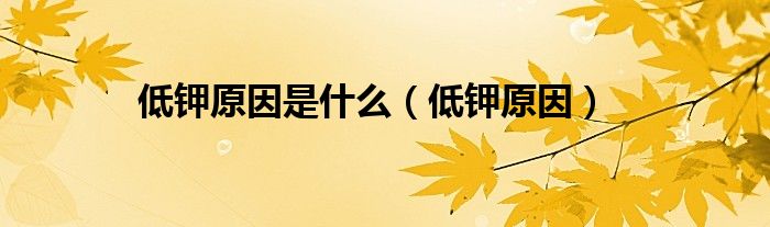 低钾原因是什么（低钾原因）