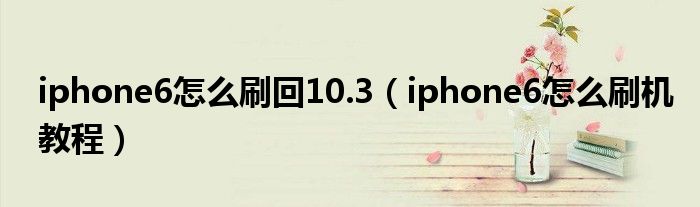 iphone6怎么刷回10.3（iphone6怎么刷机教程）