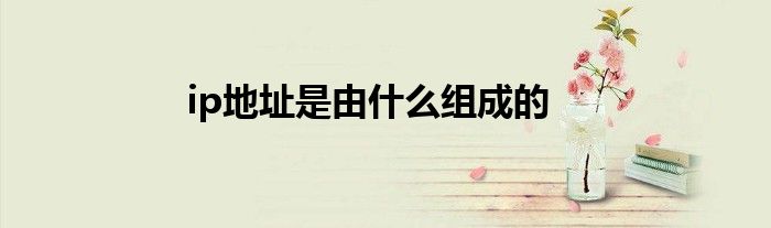 ip地址是由什么组成的