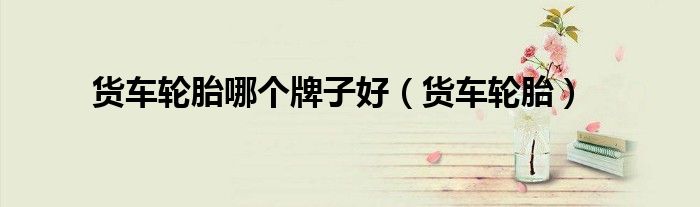 货车轮胎哪个牌子好（货车轮胎）