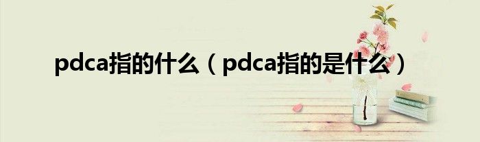 pdca指的什么（pdca指的是什么）