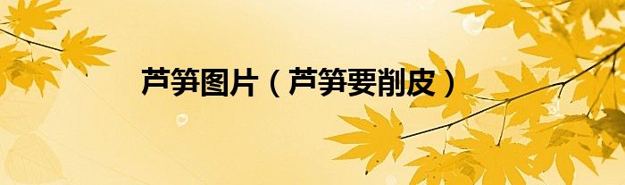 芦笋图片（芦笋要削皮）