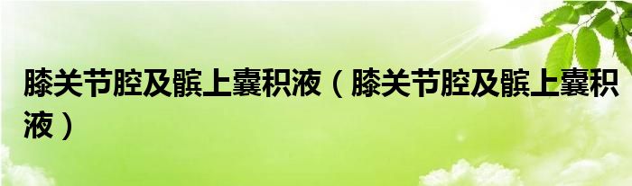 膝关节腔及髌上囊积液（膝关节腔及髌上囊积液）