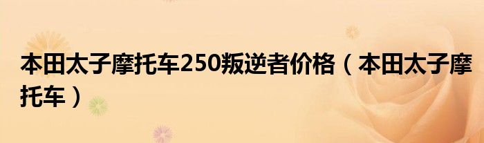 本田太子摩托车250叛逆者价格（本田太子摩托车）
