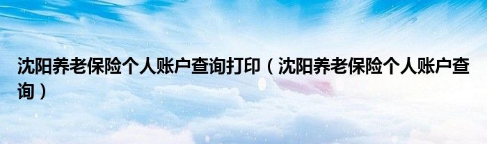 沈阳养老保险个人账户查询打印（沈阳养老保险个人账户查询）