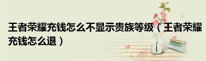 王者荣耀充钱怎么不显示贵族等级（王者荣耀充钱怎么退）