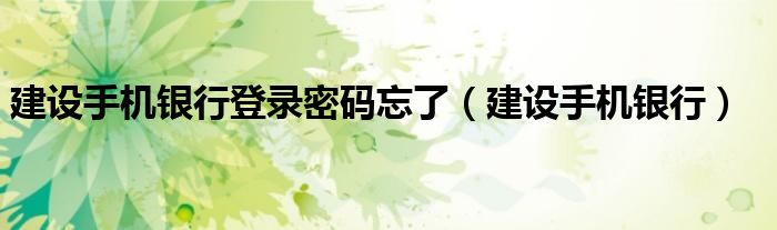 建设手机银行登录密码忘了（建设手机银行）