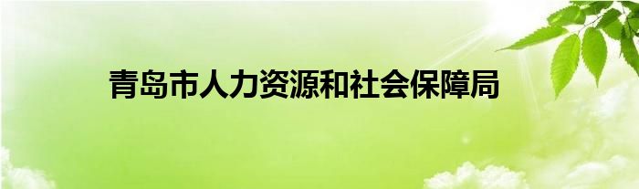 青岛市人力资源和社会保障局
