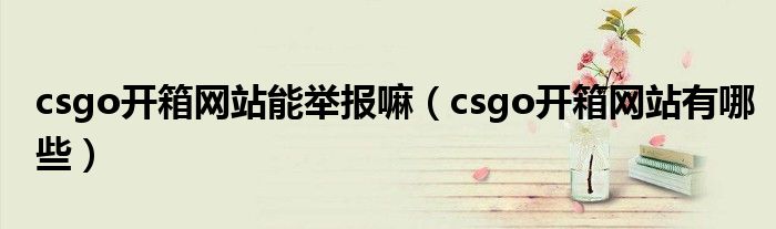 csgo开箱网站能举报嘛（csgo开箱网站有哪些）