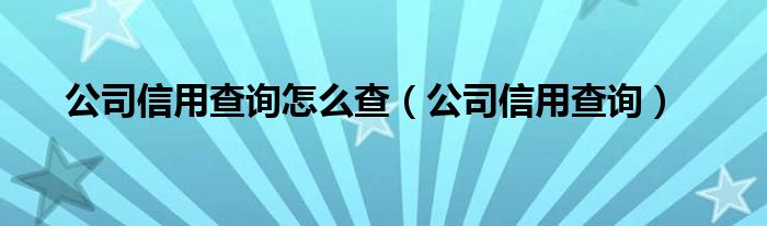 公司信用查询怎么查（公司信用查询）