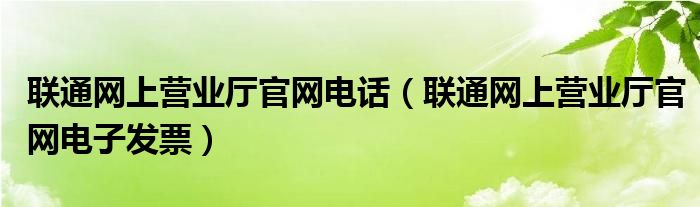 联通网上营业厅官网电话(联通网上营业厅官网电子发票)