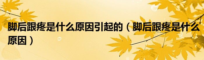 脚后跟疼是什么原因引起的（脚后跟疼是什么原因）