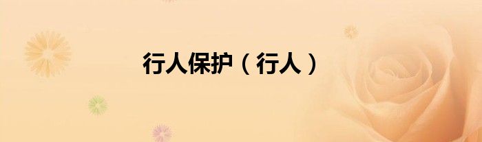 行人保护（行人）