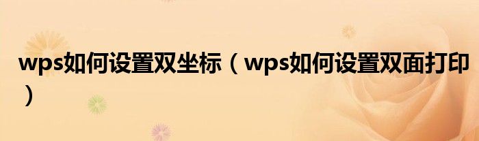 wps如何设置双坐标（wps如何设置双面打印）