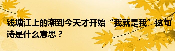 钱塘江上的潮到今天才开始“我就是我”这句诗是什么意思？