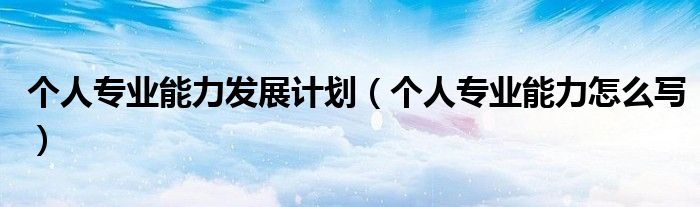 个人专业能力发展计划（个人专业能力怎么写）